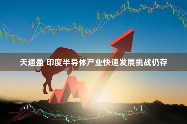 天通盈 印度半导体产业快速发展挑战仍存