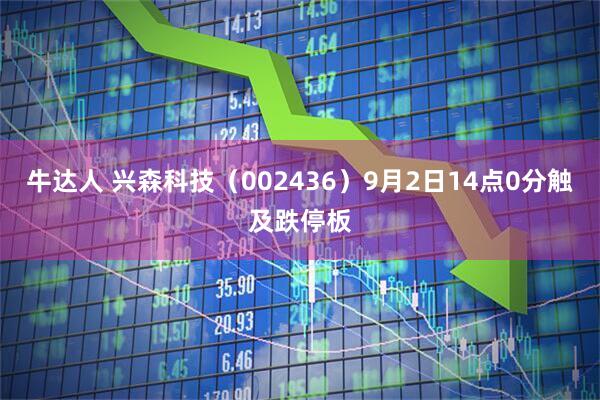 牛达人 兴森科技（002436）9月2日14点0分触及跌停板