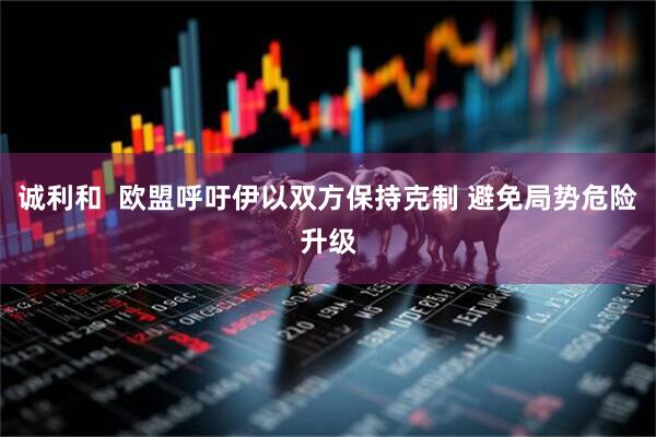 诚利和  欧盟呼吁伊以双方保持克制 避免局势危险升级